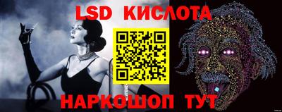 гидропоника Тула