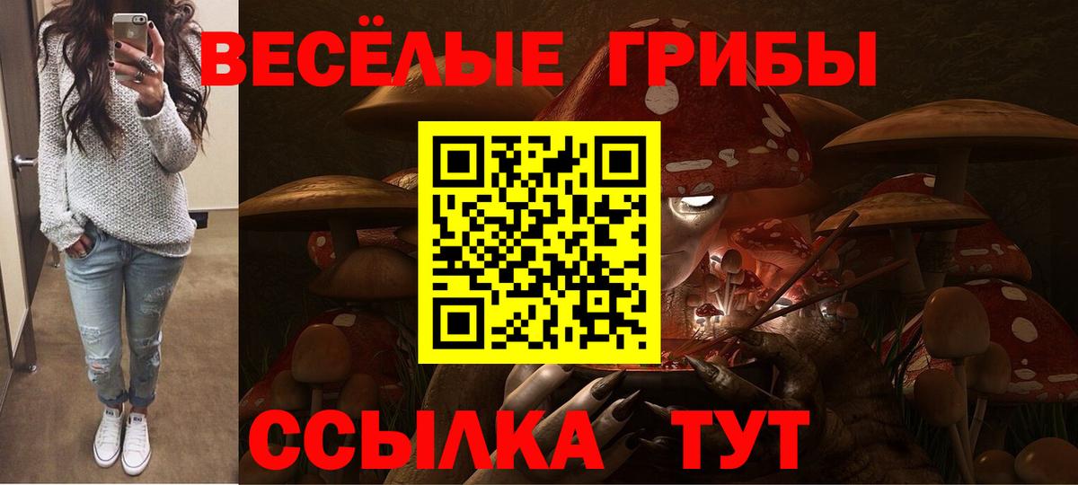Нефтекамск  Псилоцибиновые грибы мухоморы  Псилоцибиновые грибы Magic Shrooms  Вход с VPN 